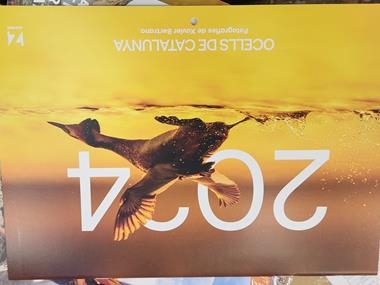 OCELLS DE CATALUNYA CALENDARI 2024 | 9781901175059 | VVAA