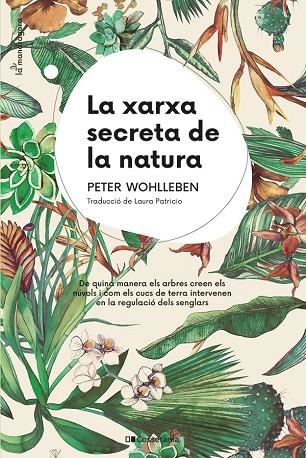 LA XARXA SECRETA DE LA NATURA | 9788413562872 | PETER WOHLLEBEN