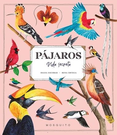 Pajaros | 9788419095527 | Diana Escobar