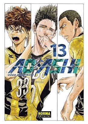 AO ASHI 13 | 9788467963328 | YUGO KOBAYASHI