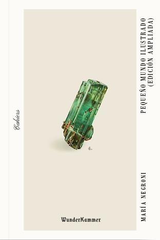 Pequeño mundo ilustrado | 9788412743104 | MARIA NEGRONI