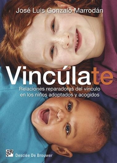 VINCÚLATE RELACIONES REPARADORAS DEL VÍNCULO EN LOS NIÑOS ADOPTADOS Y ACOGIDOS | 9788433027894 | JOSE LUIS GONZALO MARRODÁN