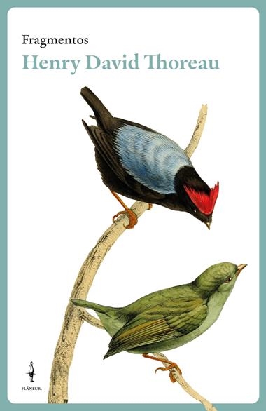 Fragmentos Henry David Thoreau | 9788409582594 | HENRY DAVID THOREAU