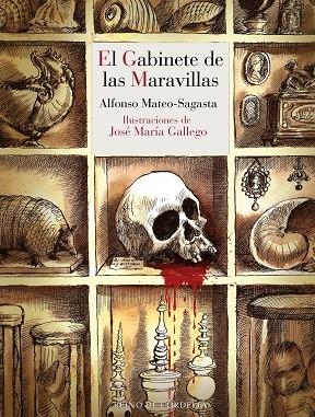 EL GABINETE DE LAS MARAVILLAS | 9788419124746 | GALLEGO & MATEO-SAGASTA