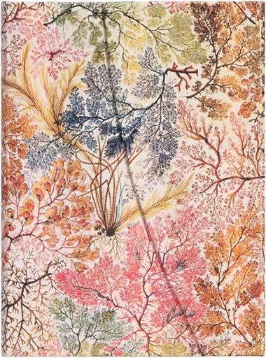 WILLIAM KILBURN ANEMONE MIDI LINED | 9781439772287 | PAPERBLANKS