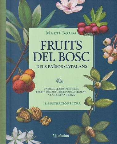 FRUITS DEL BOSC DELS PAÏSOS CATALANS | 9788419736468 | MARTI BOADA & ICRA