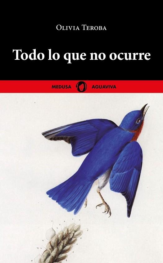 Todo lo que no ocurre | 9788419202178 | OLIVIA TEROBA
