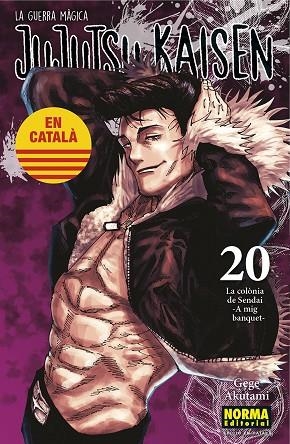 JUJUTSU KAISEN 20 | 9788467969924 | GEGE AKUTAMI