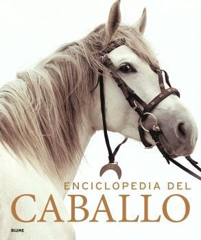 ENCICLOPEDIA DEL CABALLO | 9788419785749 | VVAA