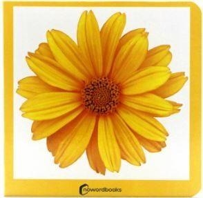 AMARILLO GROC | 9788412534429 | NOWORDBOOKS