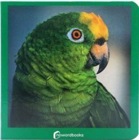 VERDE VERD | 9788412534405 | NOWORDBOOKS