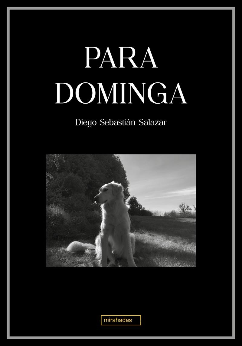 Para Dominga | 9791387663032 | DIEGO SEBASTIAN SALAZAR