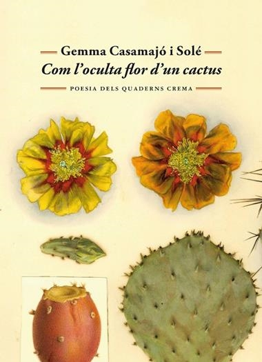 Com l'oculta flor d'un cactus | 9788477277071 | Gemma Casamajo i Sole