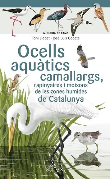 OCELLS AQUATICS CAMALLARGS RAPINYAIRES I MOIXONS DE LES ZONES HUMIDES DE CATALU | 9788413564746 | JOSE LUIS COPETE