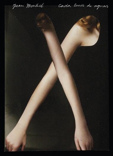 CADA LUNES DE AGUAS | 9788419737397 | JUAN MONTIEL