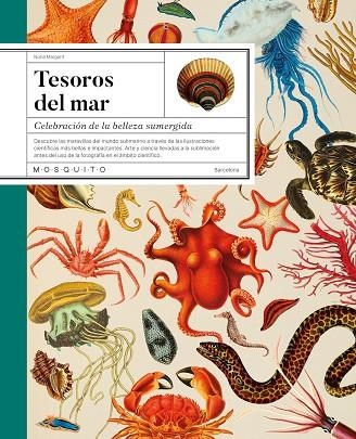 Tesoros del mar | 9788419095749 | Nuria Margarit