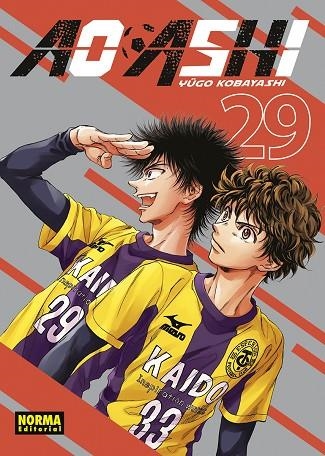 AO ASHI 29 | 9788467973044 | YUGO KOBAYASHI