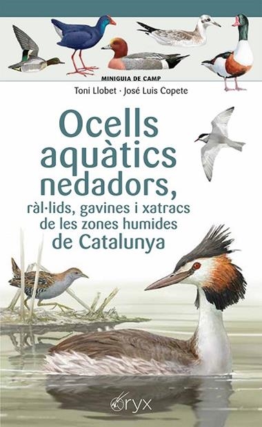 OCELLS AQUATICS NEDADORS RAL·LIDS GAVINES I XATRACS DE LES ZONES HUMIDES DE CATALUNYA | 9788413564883 | TONI LLOBET & JOSE LUIS COPETE