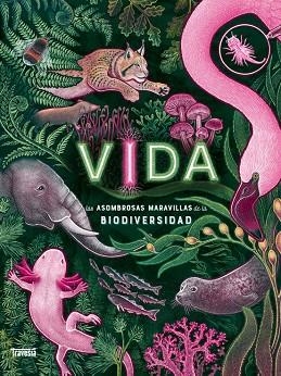 Vida | 9786075840338 | Jennifer N. R. Smith