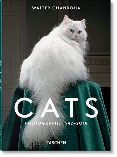 WALTER CHANDOHA CATS PHOTOGRAPHS 1942–2018 | 9783836595315 | SUSAN MICHALS & WALTER CHANDOHA