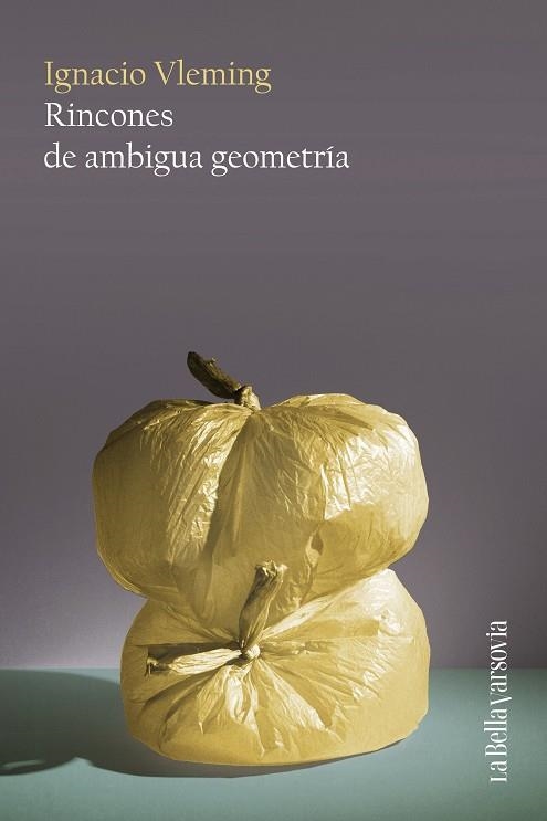 Rincones de ambigua geometria | 9788433929402 | Ignacio Vleming