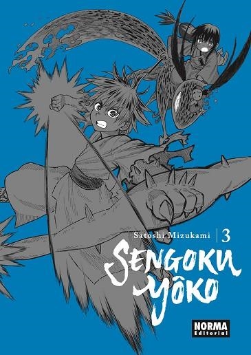 Sengoku Yoko 03 | 9788467972597 | Satoshi Mizukami