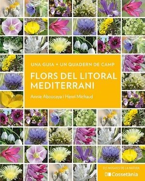 FLORS DEL LITORAL MEDITERRANI | 9788413564937 | ANNIE ABOUCAYA & HENRI MICHAUD