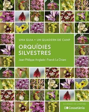 ORQUIDIES SILVESTRES | 9788413564920 | JEAN-PHILIPPE ANGLADE & FRANCK LE DRIANT