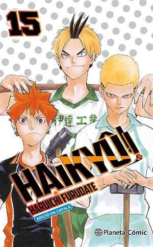 HAIKYU 15 | 9788411618847 | HARUICHI FURUDATE