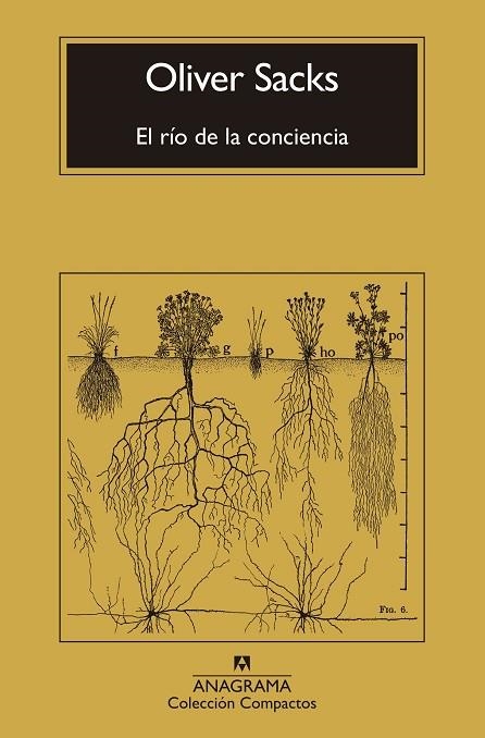 El Rio de la conciencia | 9788433946867 | Oliver Sacks