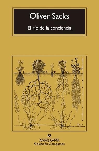 El Rio de la conciencia | 9788433946867 | Oliver Sacks