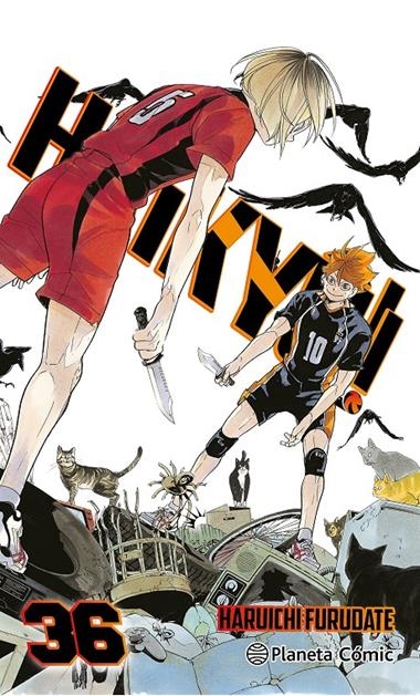 Haikyu 36 | 9788411619370 | Haruichi Furudate