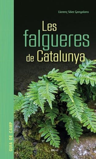LES FALGUERES DE CATALUNYA | 9791387701017 | LLORENÇ SAEZ GONYALONS