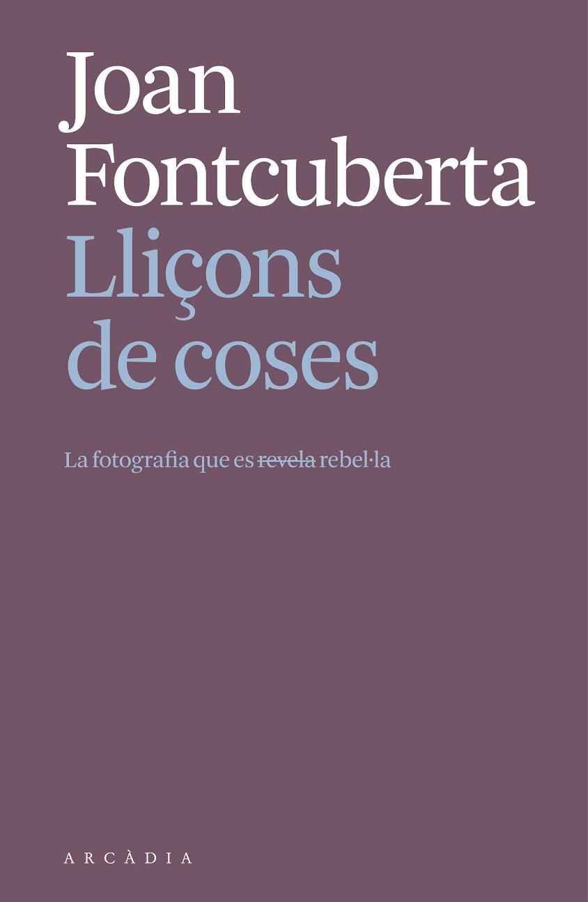 Lliçons de coses | 9788412999709 | FONTCUBERTA I VILLa, JOAN