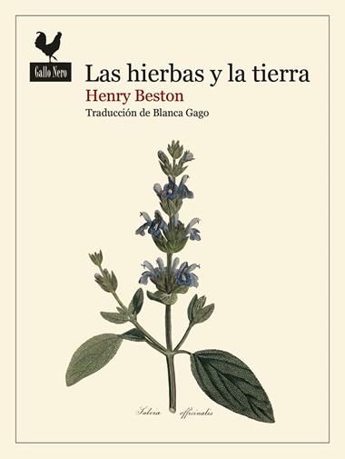 LAS HIERBAS Y LA TIERRA | 9788419168740 | HENRY BESTON