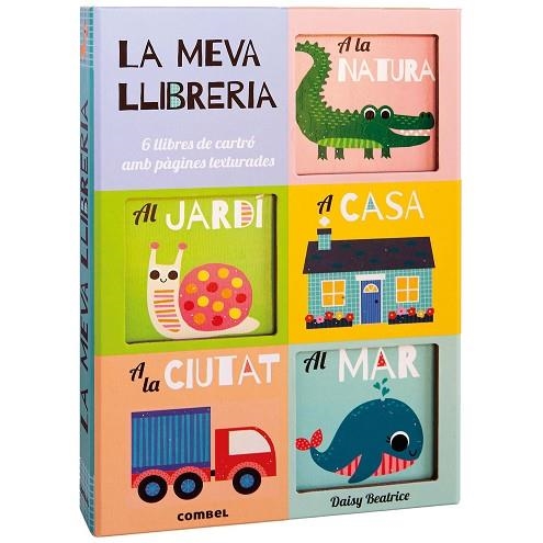 LA MEVA LLIBRERIA | 9788411582841 | DAISY BEATRICE