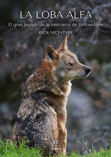 La Loba alfa | 9788412949001 | Rick Mcintyre
