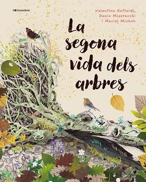 LA SEGONA VIDA DELS ARBRES | 9788413565040 | DANIO MISEROCCHI & MACIEJ MICHNO