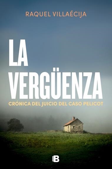 La verguenza | 9788466683029 | Raquel Villaecija