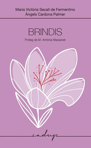 BRINDIS | 9788412991598 | MARIA VICTORIA SECALL DE FERMENTINO & ANGELS CARDONA PALMER