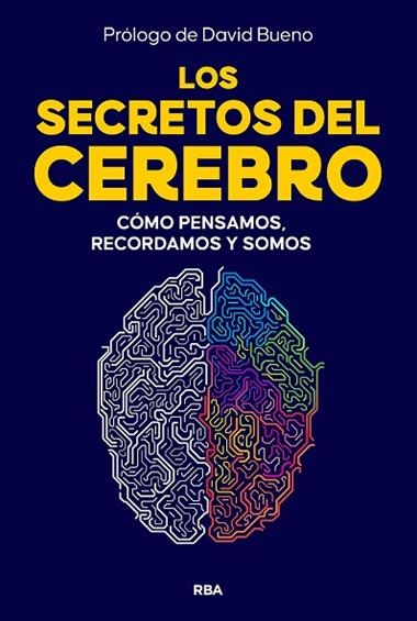 Los Secretos del cerebro | 9788410981249 | David Bueno