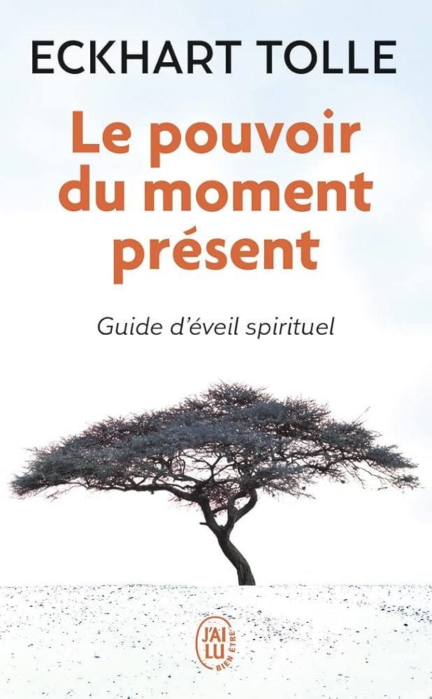 LE POUVOIR DU MOMENT PRESENT | 9782290020203 | ECKHART TOLLE