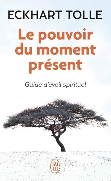 LE POUVOIR DU MOMENT PRESENT | 9782290020203 | ECKHART TOLLE