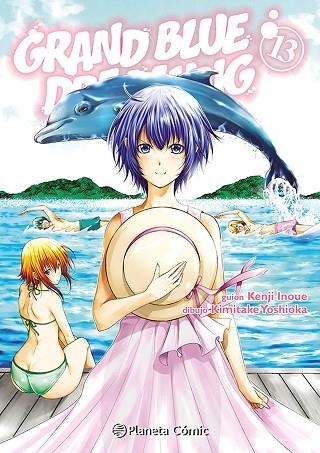 Grand Blue Dreaming 13 | 9791387779153 | Kenji Inoue & Kimitake Yoshioka