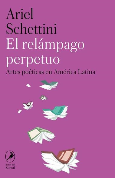El relampago perpetuo | 9788412967814 | ARIEL SCHETTINI