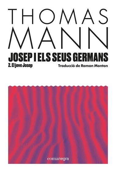 Josep i els seus germans II | 9788410161856 | Thomas Mann