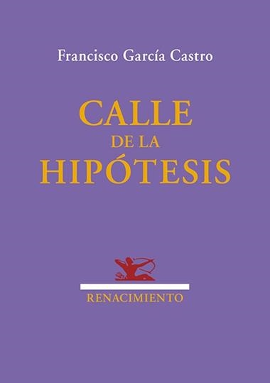 Calle de la hipotesis | 9791387939281 | FRANCISCO GARCIA CASTRO