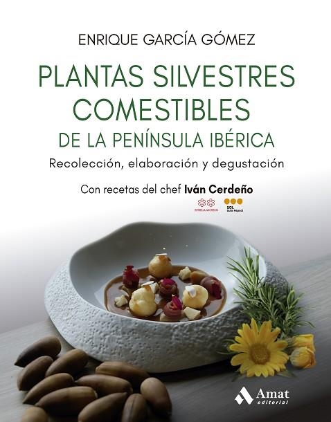 PLANTAS SILVESTRES COMESTIBLES DE LA PENINSULA IBERICA | 9788410451384 | ENRIQUE GARCIA GOMEZ