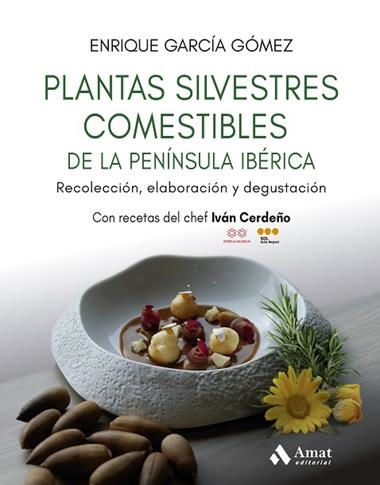 PLANTAS SILVESTRES COMESTIBLES DE LA PENINSULA IBERICA | 9788410451384 | ENRIQUE GARCIA GOMEZ