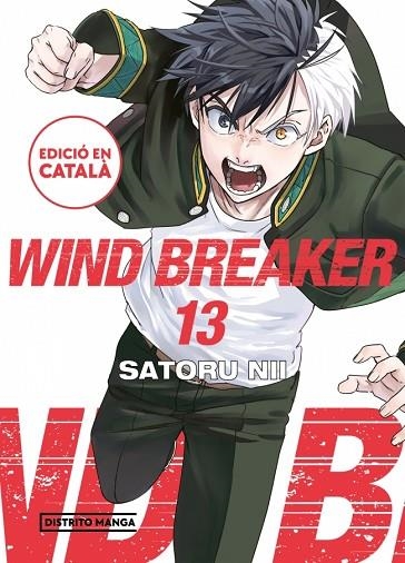 WIND BREAKER 13 | 9788419819888 | SATORU NII